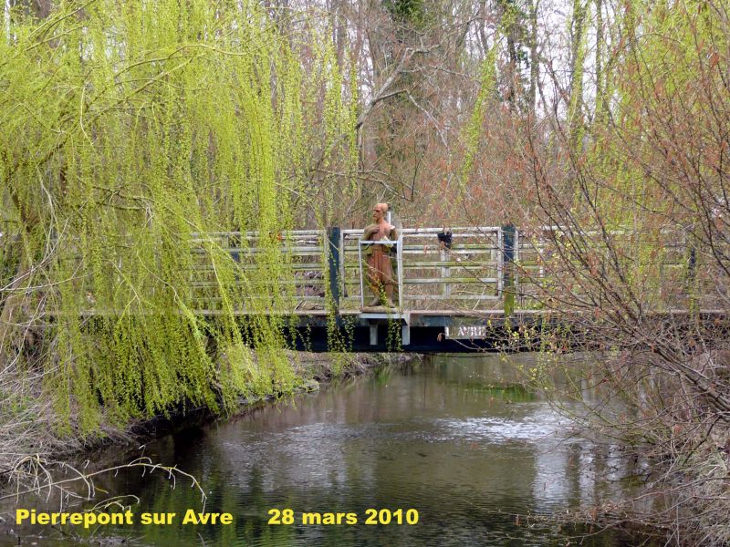 123_11 Pierrepont.jpg